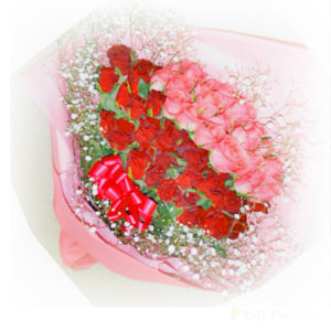 バラの花束　ピンクと赤